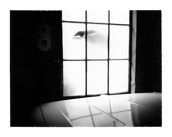 photograph of the hood of a car by a window by Alan Ostreicher